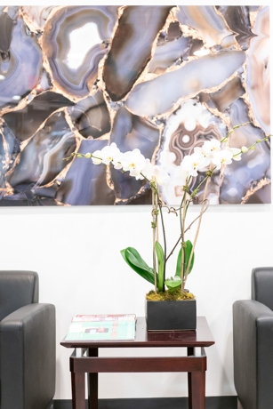  A waiting room setting, featuring a plant on a coffee table in between two armchairs. 
